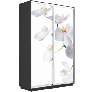 Шкаф-купе Дуо фото Орхидея 1200 new декор