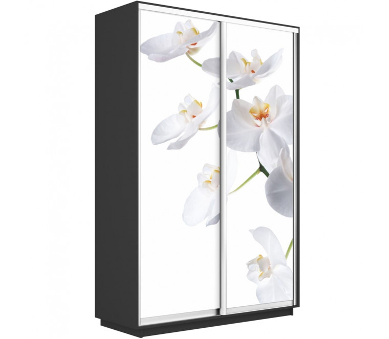 Шкаф-купе Дуо фото Орхидея 1400 new декор