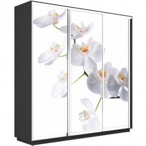 Шкаф-купе Трио фото Орхидея 1800 new декор