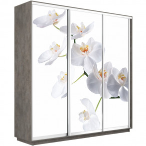 Шкаф-купе Трио фото Орхидея 1800 new декор