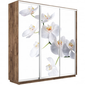 Шкаф-купе Трио фото Орхидея 1800 new декор